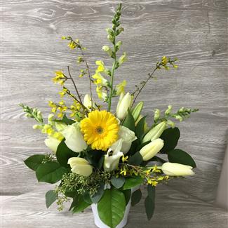 Forsythia and Friends