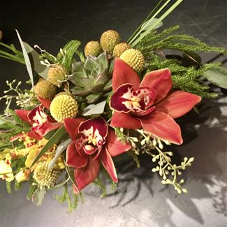 Orchids, Succulents &amp; Billy Balls