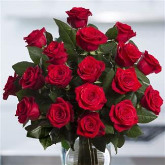 Roses (wrapped price-see vase price below)