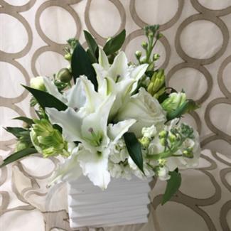 Chic White