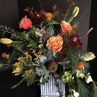Festive Fall