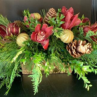 Home For the Holidays