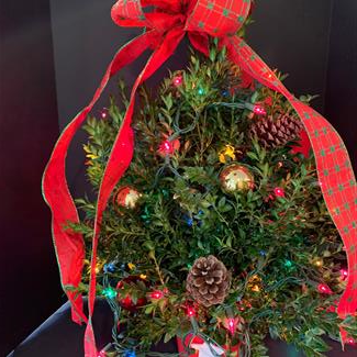 A Bright Holiday!