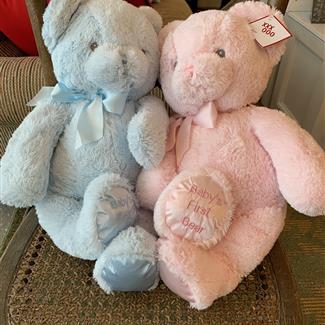  Baby's First Teddy Bear