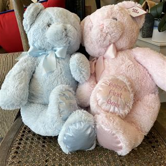 Baby's First Teddy Bear